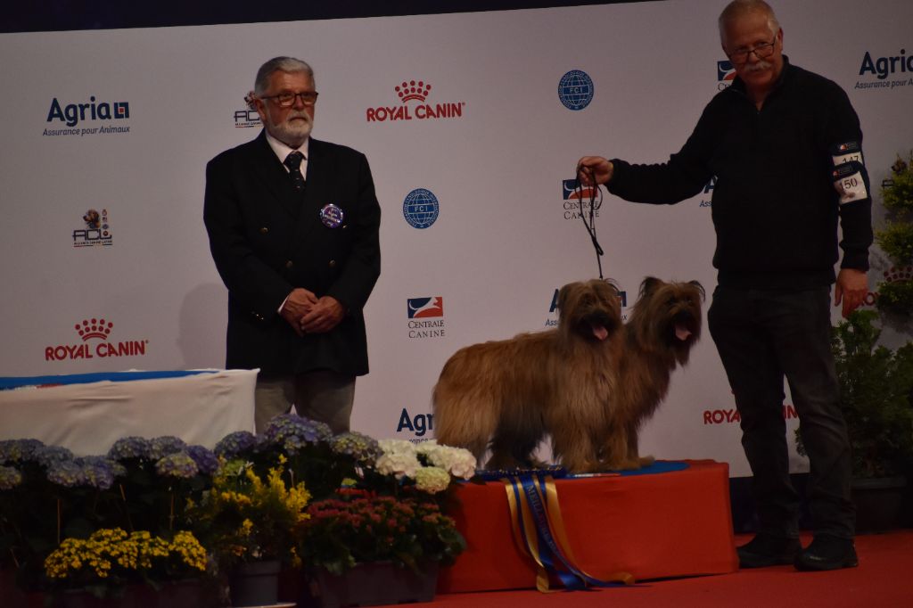 De la fontaine des schlitteurs - Spéciale de race Montluçon 1er juin 2024