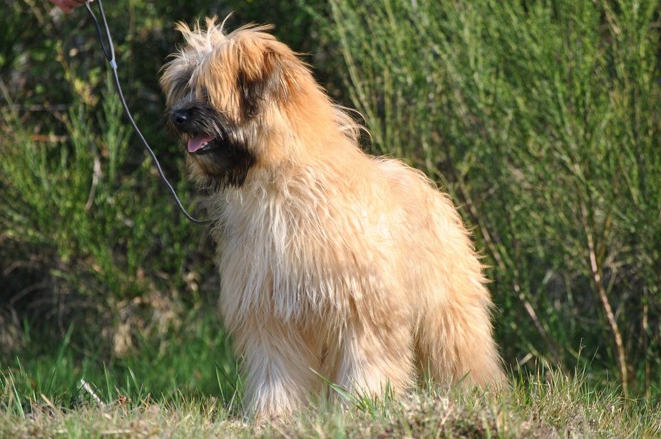 Palès De la fontaine des schlitteurs