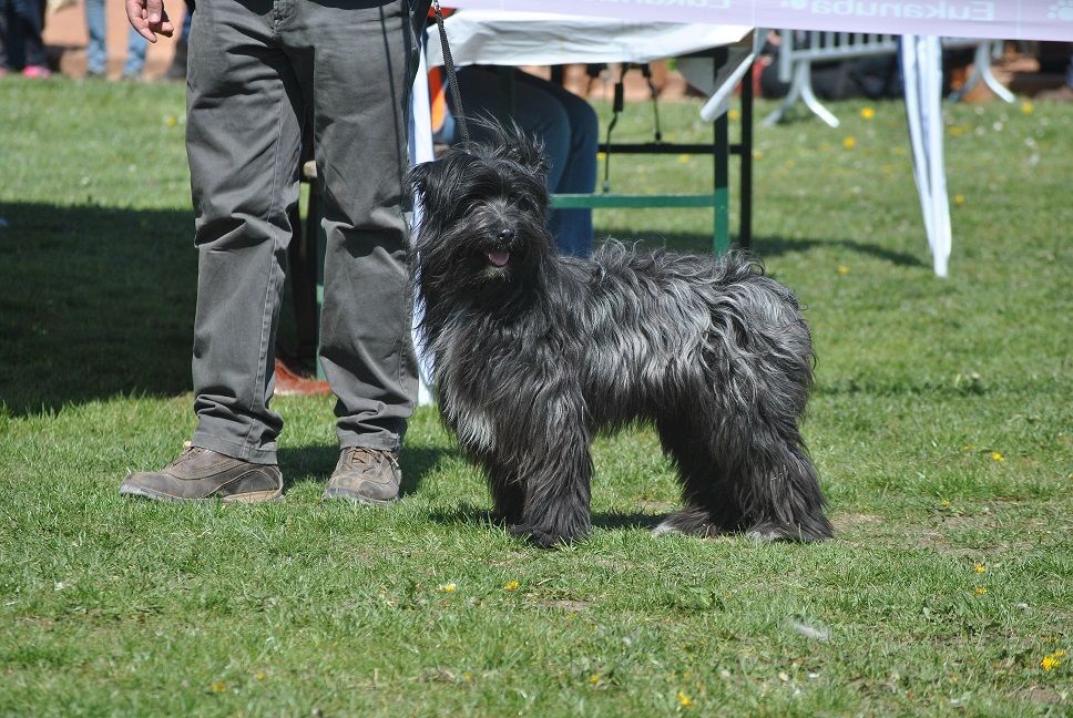 Musette Du pic d'arbizon